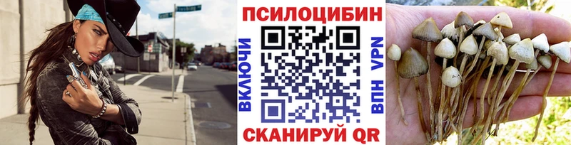 Псилоцибиновые грибы Magic Shrooms  кракен   Льгов  где можно купить наркотик 